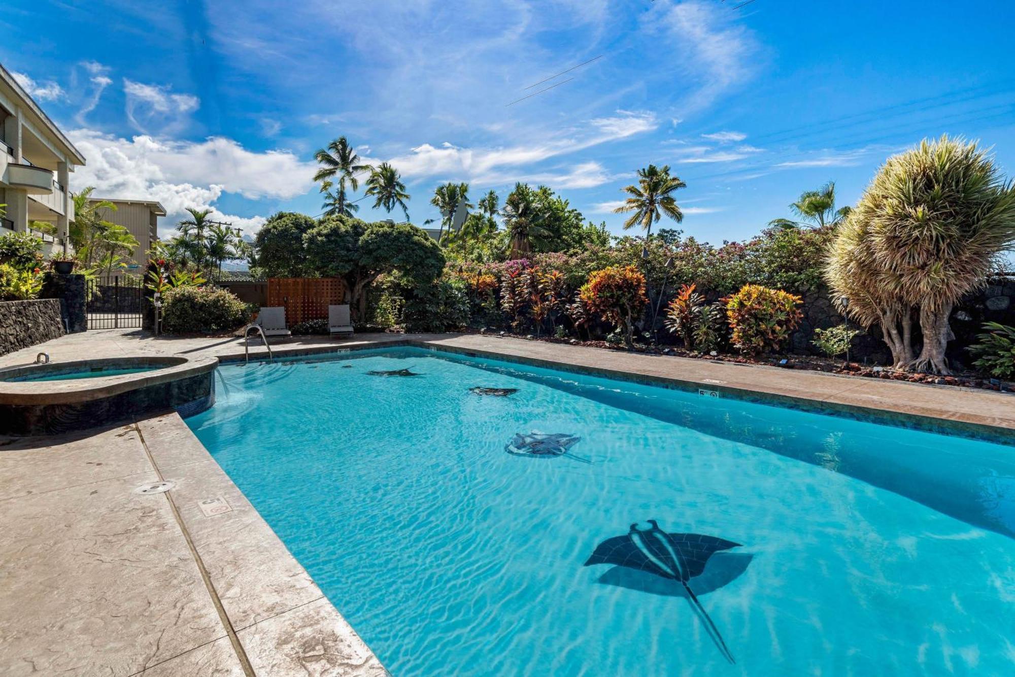 Direct Oceanview Paradise In A Luxury Condo 2B2B,Ac Kailua-Kona Extérieur photo